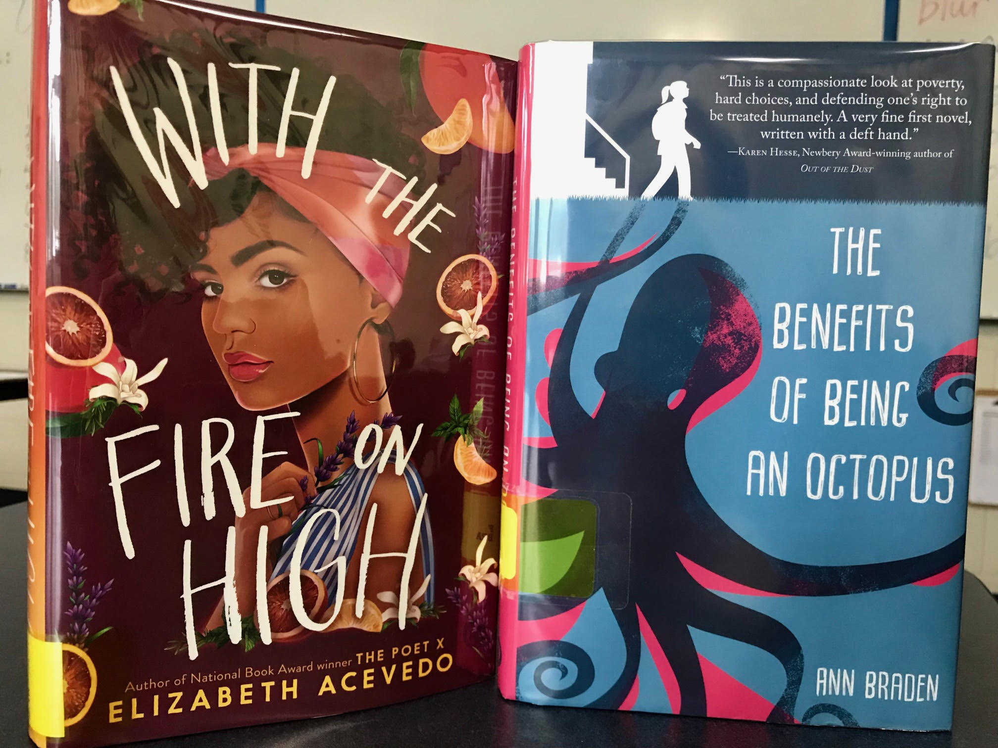 With the Fire on High + The Benefits of Being an Octopus – Bean's Book Blog